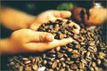 Primer desafío mundial Fairtrade para amantes del café