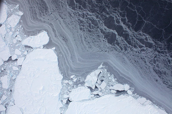 El-hielo-artico-y-antartico-alcanzan-sus-minimos-historicos_image800_