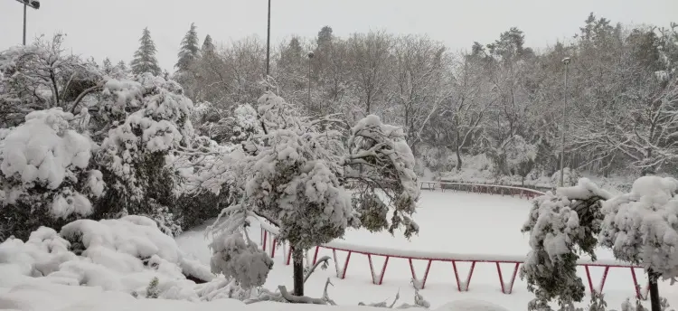 6 nevada madrid 9 enero