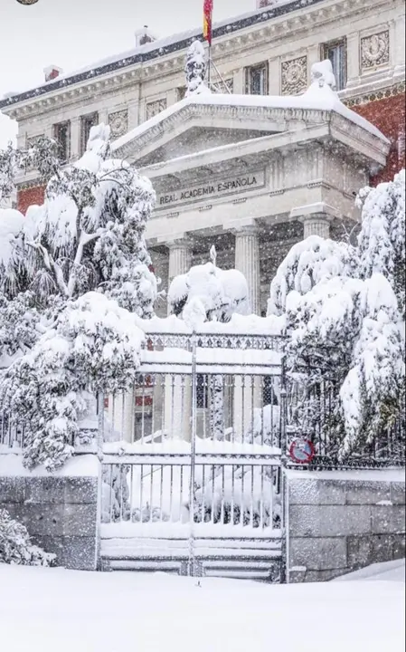 nevada madrid 9