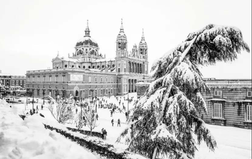 nevada madrid 19