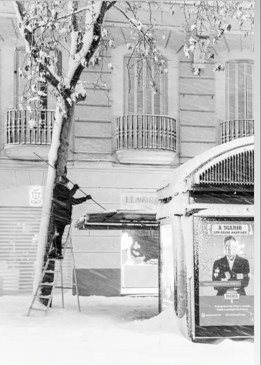 nevada madrid 22