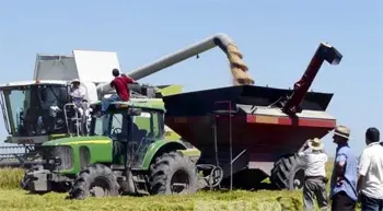 alimentos