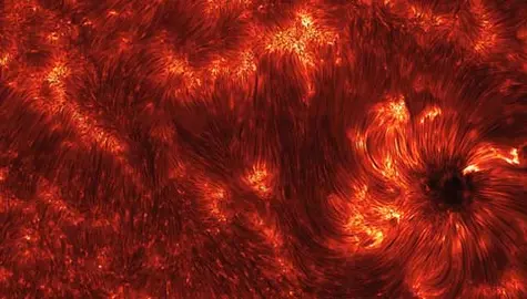 explanation: imagine a pipe as wide as a state and as long as the earth. now imagine that this pipe is filled with hot gas moving 50,000 kilometers per hour. further imagine that this pipe is not made of metal but a transparent magnetic field. you are envisioning just one of thousands of young spicules on the active sun. pictured above is one of the highest resolution image yet of these enigmatic solar flux tubes. spicules line the above frame of solar active region 11092 that crossed the sun last month, but are particularly evident converging on the sunspot on the lower left. time-sequenced images have recently shown that spicules last about five minutes, starting out as tall tubes of rapidly rising gas but eventually fading as the gas peaks and falls back down to the sun. what determines the creation and dynamics of spicules remains a topic of active research.

credit: k. reardon/ibis
