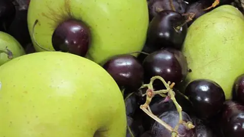 alimentos