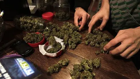 marihuana