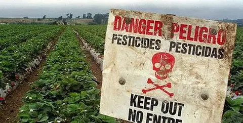 pesticids