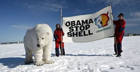 shell