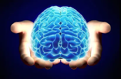 cerebro