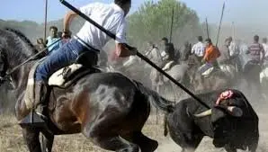 El toro de Tordesillas