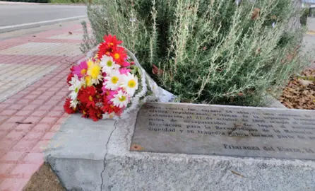 flores-cunetas