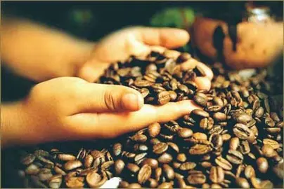 cafe_peruanoexport