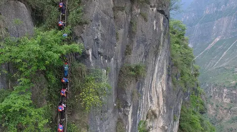 2016060109574678715