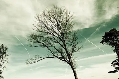 2016072109014226767