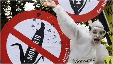 monsanto2