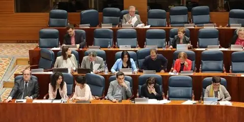 grupo socialista asamblea