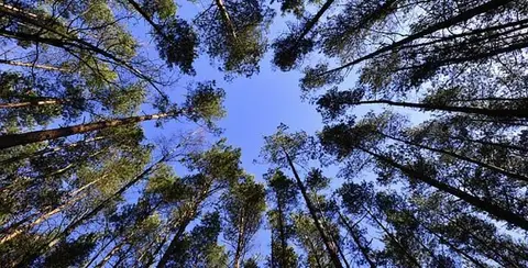 biodiversidad