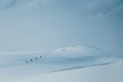 2017010918205317888