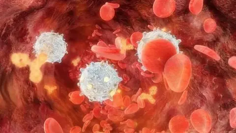 Nanomedicamento