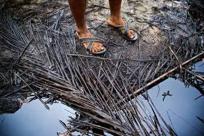 Vertidos en el Delta del N&iacute;ger, Nigeria &copy; Michael Uwemedimo/cmapping.net