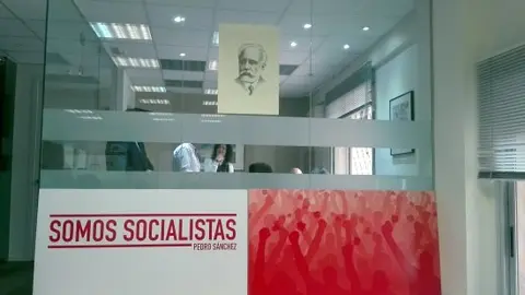 sede sachez