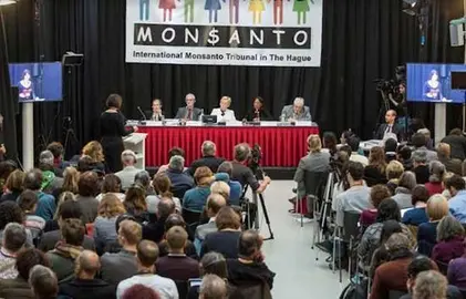 monsanto