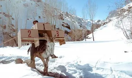 afganistan