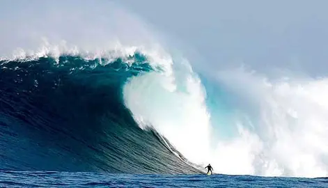 surf
