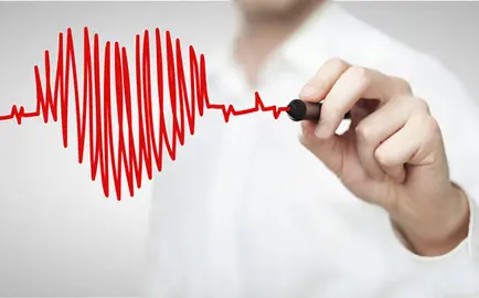 Descubierto-el-mecanismo-que-situa-el-corazon-a-la-izquierda_image_380