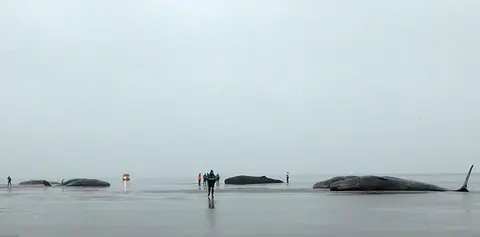 2017100916402811689
