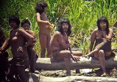 tribu