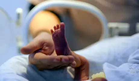 pediatria