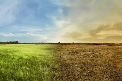 Landscape of meadow field with the changing environment concept of climate change