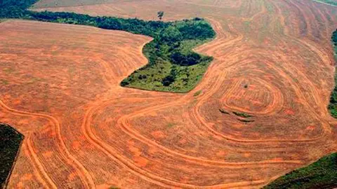bamazonia