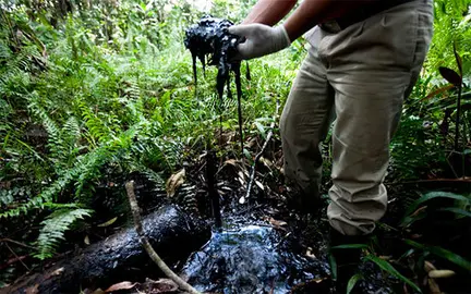 chevron-amazonas