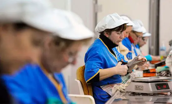 precariedad_empleo_mujeres_epa