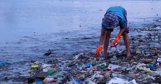 plasticos