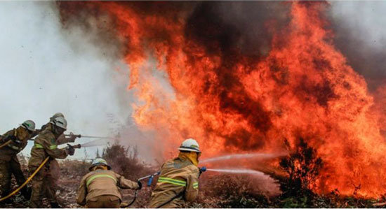sindicato-bomberos-UGT-lamenta-pérdidas-humanas-incendio-Portugal-768x432