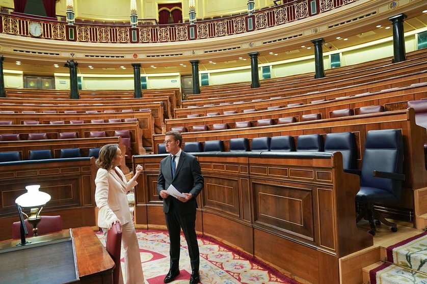 Núñez Feijóo y Cuca Gamarra en el pleno del Congreso de los Diputados.&nbsp;