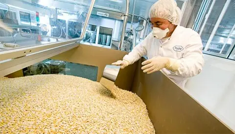 Un operario controla tabletas del antiviral Tamiflu, de Roche