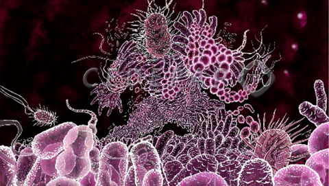 resistencia-antibioticos