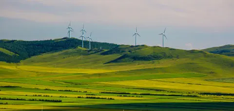 eco