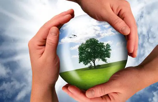 ecologia