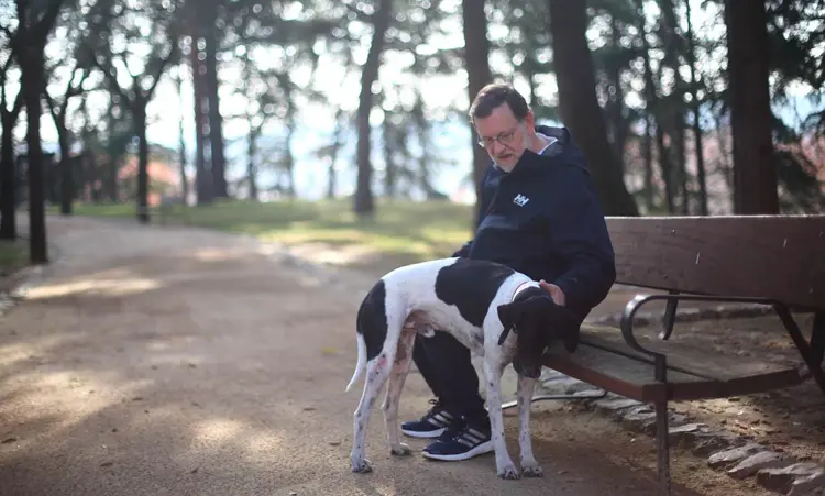 rajoy