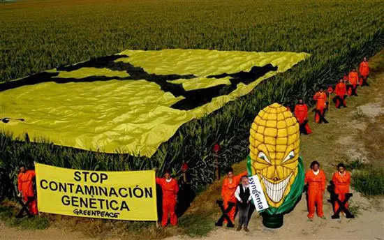 greenpeace