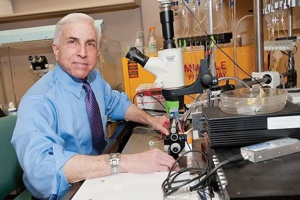 David Pepperberg, University of Illinois at Chicago