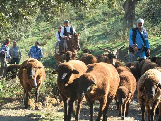 españa-rural