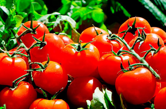 Tomates-mas-rojos-lisos-y-redondos-contra-el-cancer-de-colon_image_380