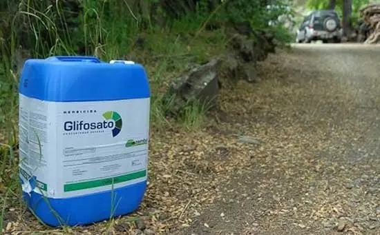 glifosato