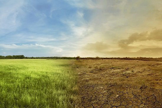 Landscape of meadow field with the changing environment concept of climate change